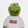 kermitthefrog21